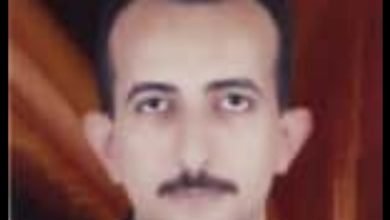 صورة توضيحية - محمد الجوهرى يجتاح السوشيال ميديا