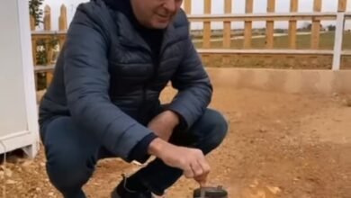 صورة توضيحية - راغب علامة يستمتع بعطلته في بعلبك