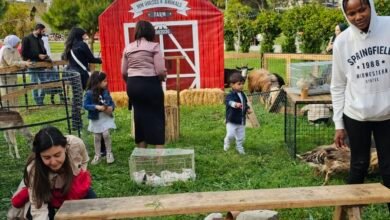 Photo of “MM Horses and Animals”: تجربة مميزة للأطفال مع الحيوانات في أي مكان في لبنان!
