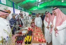 الوزارة تؤكد حاجة المزارعين إلى تمويل لتحديث البساتين ودعم التصدير