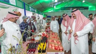 الوزارة تؤكد حاجة المزارعين إلى تمويل لتحديث البساتين ودعم التصدير