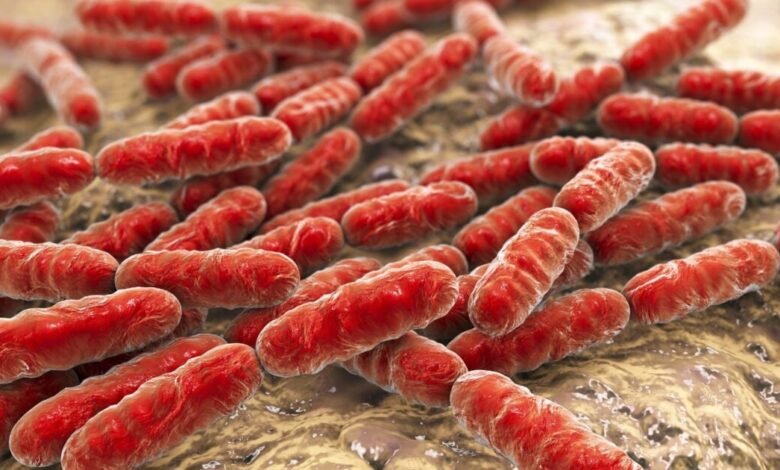 سحب جديد لبراعم الفجل في الولايات المتحدة بسبب E. coli والسالمونيلا.. FDA توسع تحذيراً غذائياً